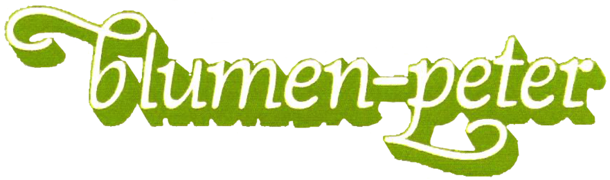 braun_logo2